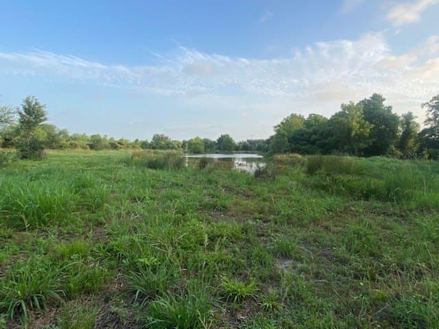 481.1 acres in Texas County - photo 30