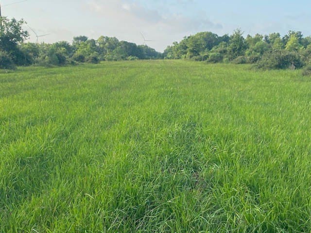 481.1 acres in Texas County - photo 31