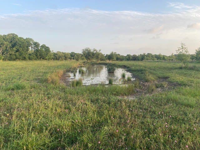 481.1 acres in Texas County - photo 14