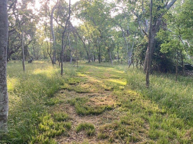 481.1 acres in Texas County - photo 52