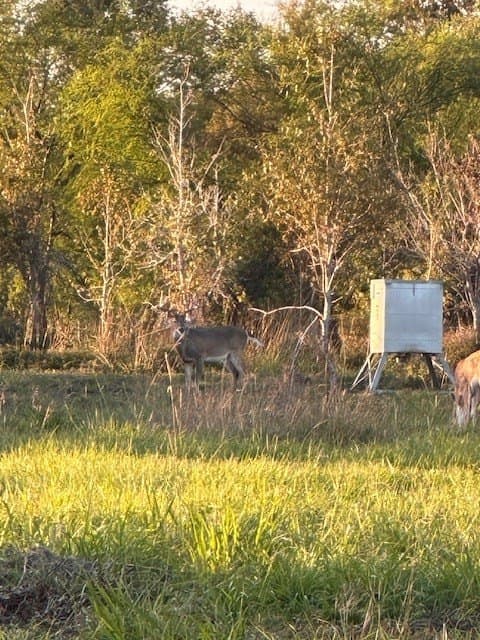 481.1 acres in Texas County - photo 9