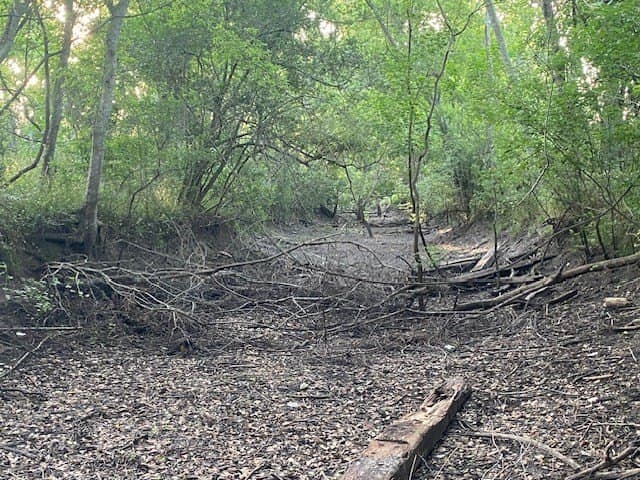 481.1 acres in Texas County - photo 33