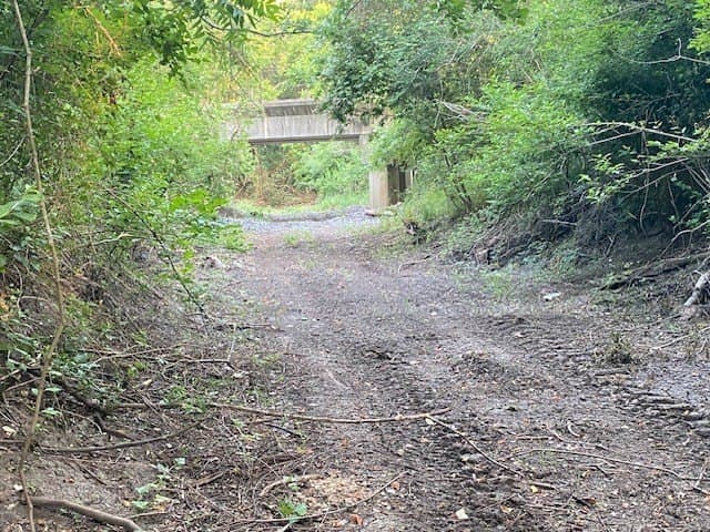 481.1 acres in Texas County - photo 32