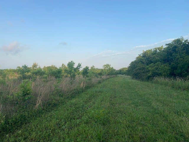481.1 acres in Texas County - photo 16
