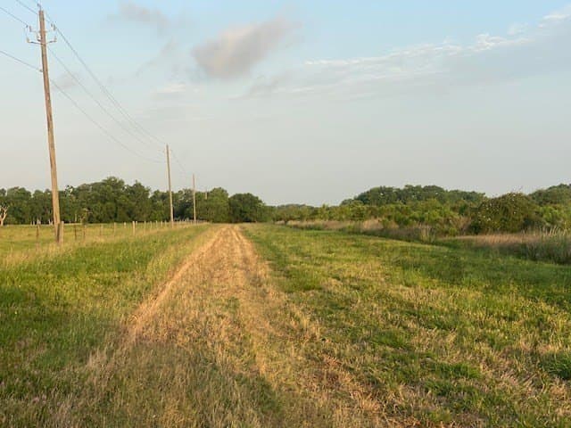 481.1 acres in Texas County - photo 13