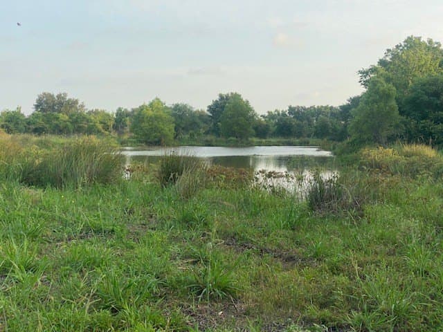 481.1 acres in Texas County - photo 29