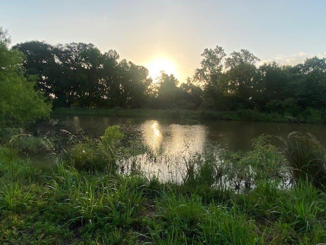 481.1 acres in Texas County - photo 20