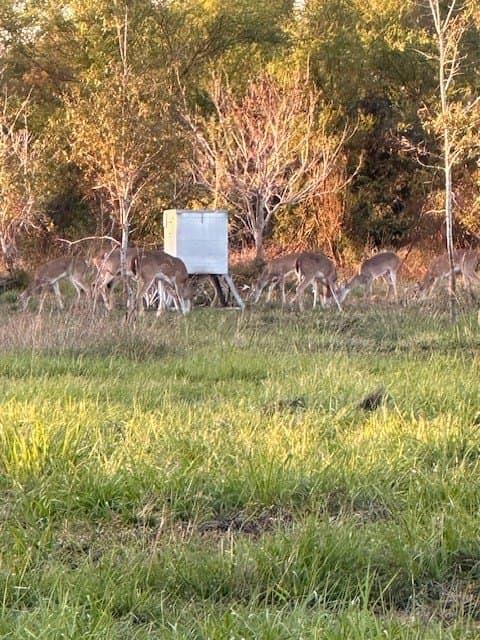 481.1 acres in Texas County - photo 8