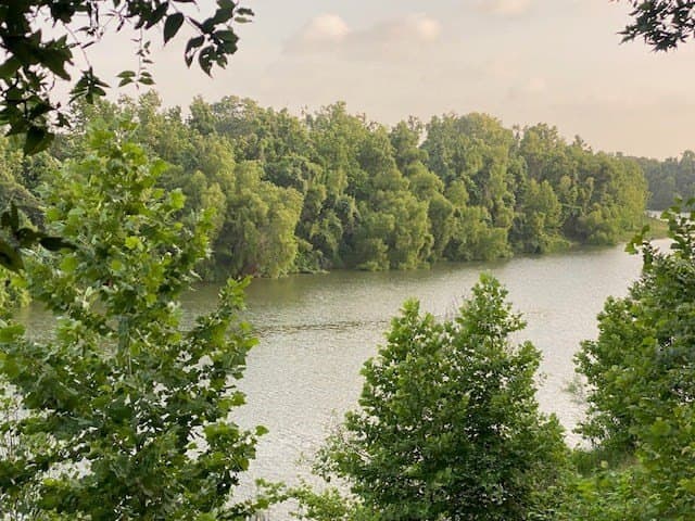 481.1 acres in Texas County - photo 40