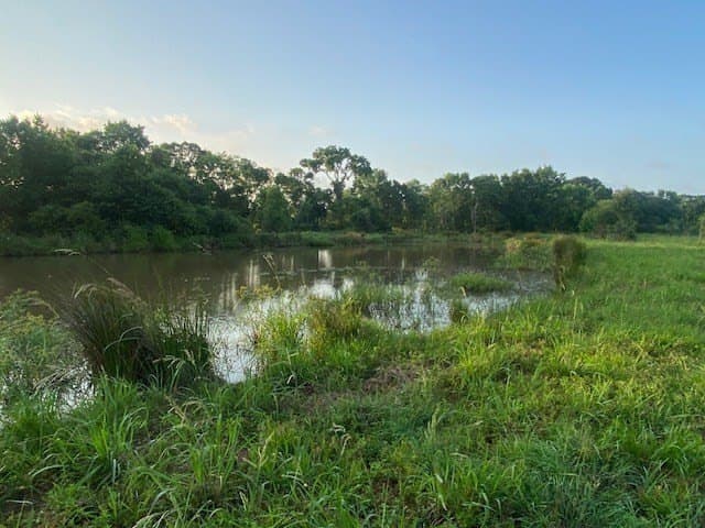 481.1 acres in Texas County - photo 19