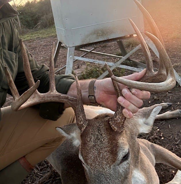 481.1 acres in Texas County - photo 10