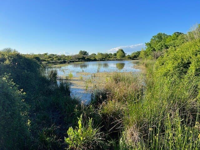 481.1 acres in Texas County - photo 12