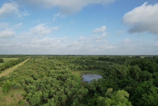 481.1 acres in Texas County - photo 61