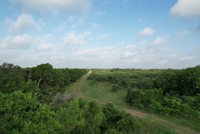 481.1 acres in Texas County - photo 58