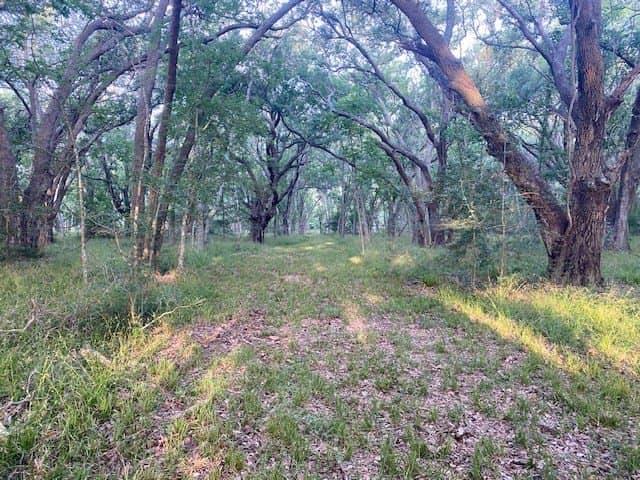 481.1 acres in Texas County - photo 34