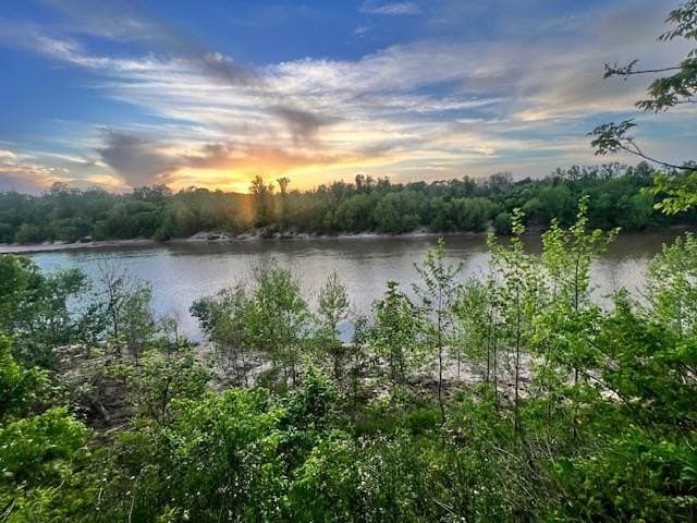 481 Acre Bay City Fm 2668