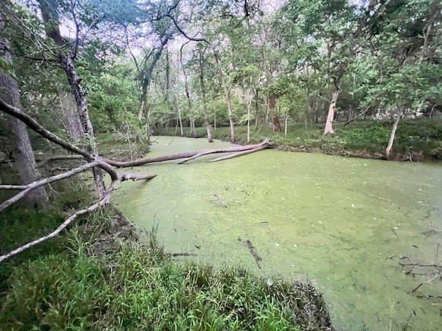481.1 acres in Texas County - photo 11