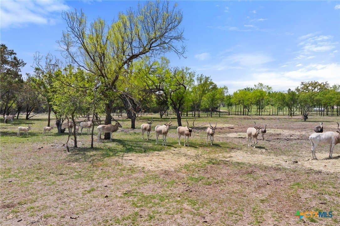 28.5 acres in Blanco County - photo 37