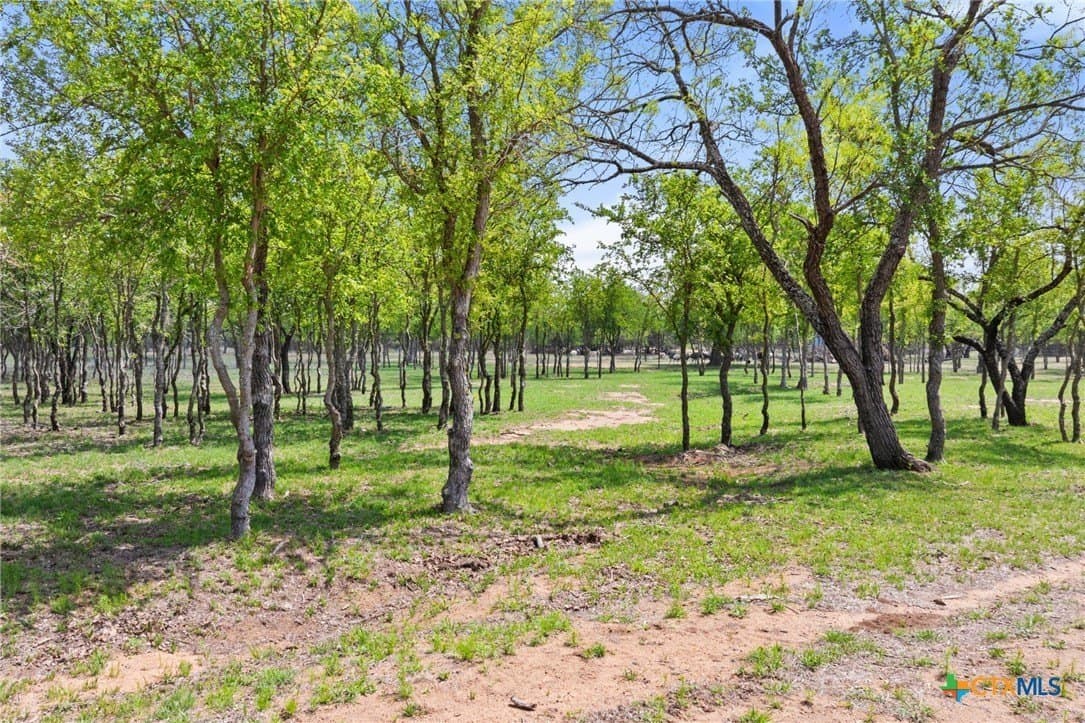 28.5 acres in Blanco County - photo 35