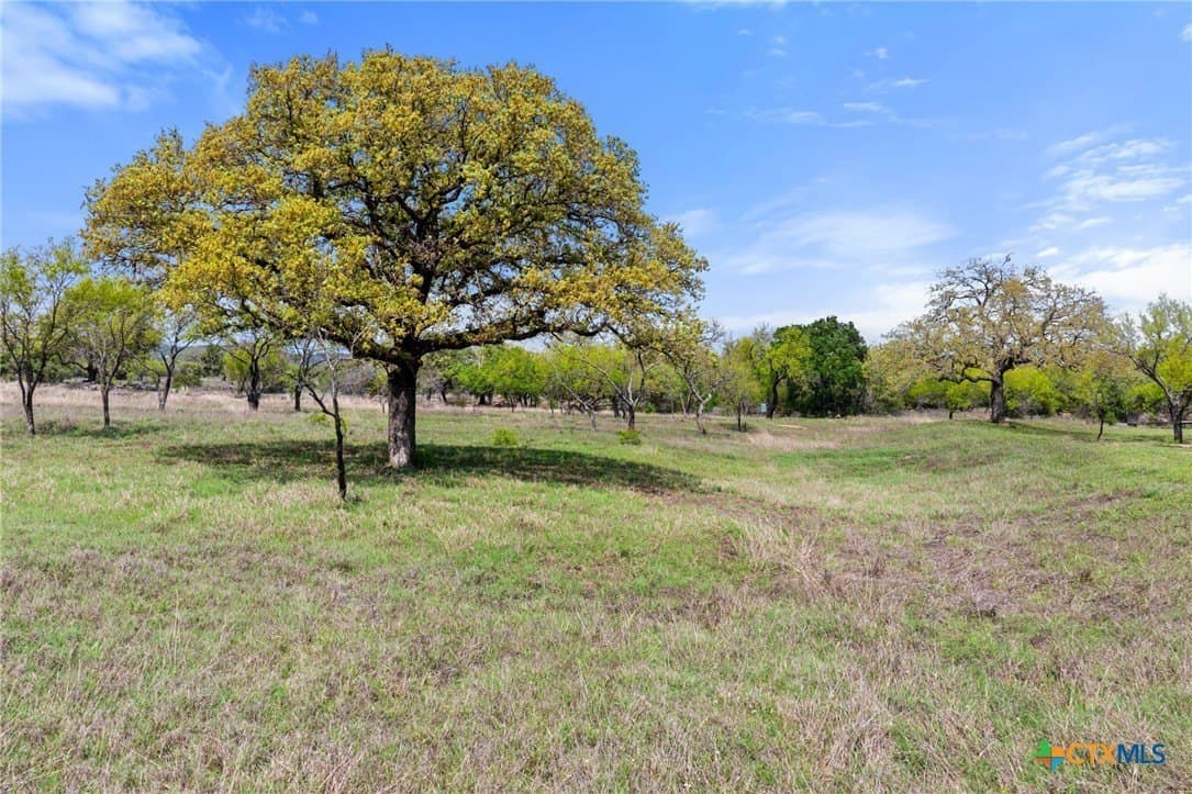 28.5 acres in Blanco County - photo 38