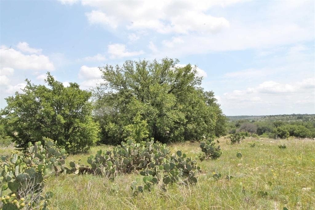4.21 acres in Somervell County - photo 19