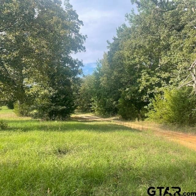 298.69 acres in Wood County - photo 17