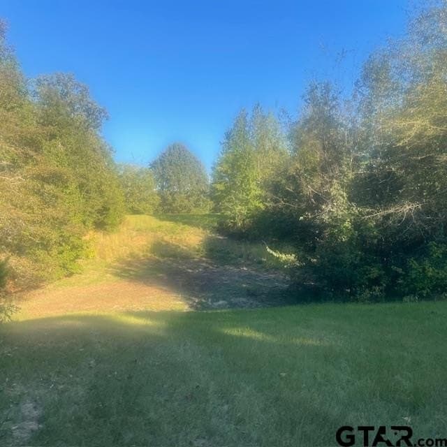 298.69 acres in Wood County - photo 42