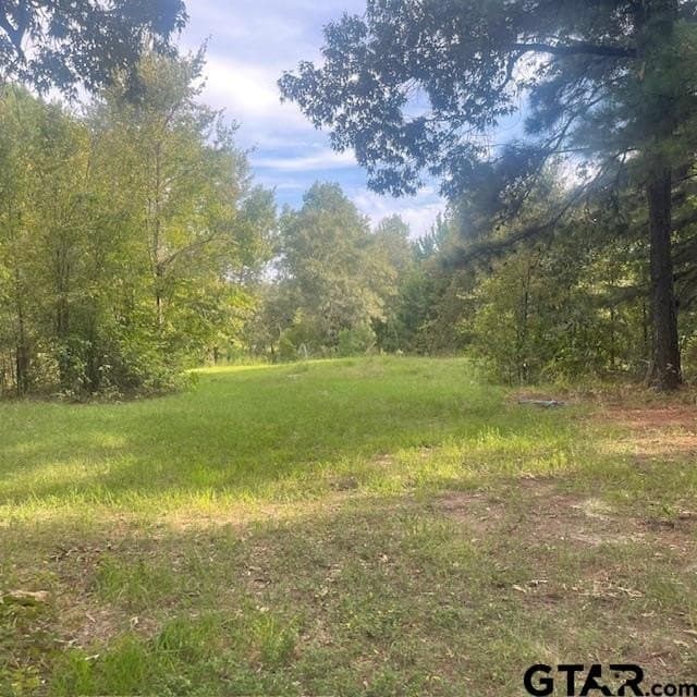 298.69 acres in Wood County - photo 3