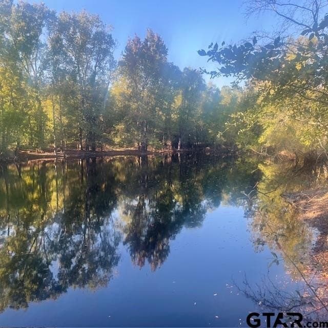 298.69 acres in Wood County - photo 47