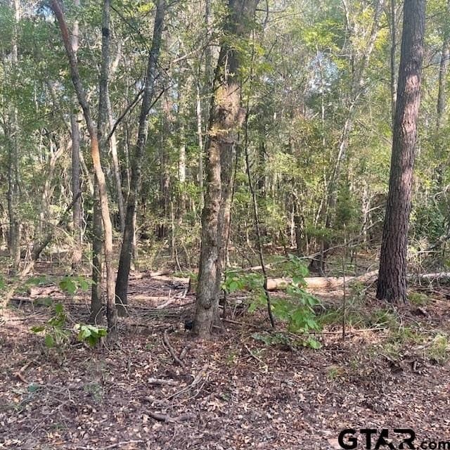 298.69 acres in Wood County - photo 20