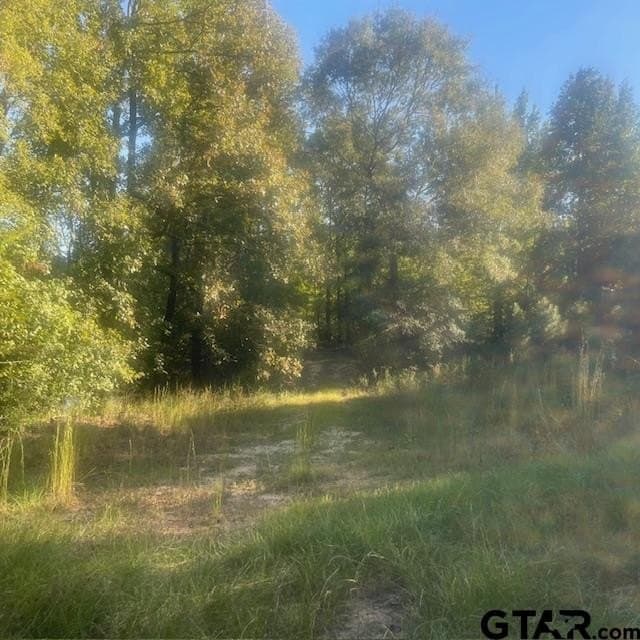 298.69 acres in Wood County - photo 44