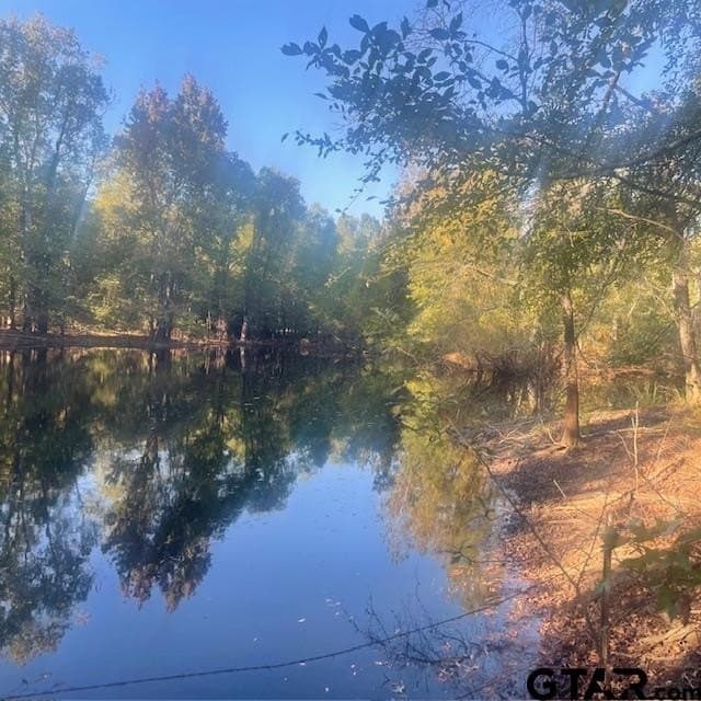 298.69 acres in Wood County - photo 45