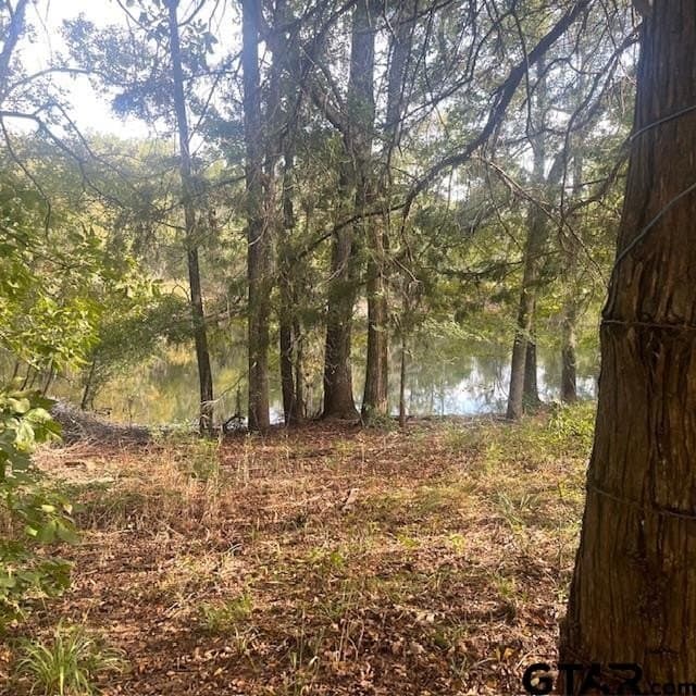 298.69 acres in Wood County - photo 5