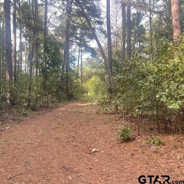298.69 acres in Wood County - photo 12
