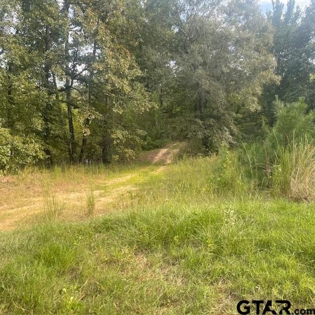 298.69 acres in Wood County - photo 4