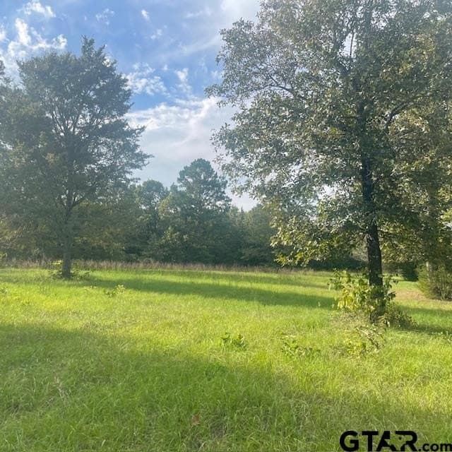 298.69 acres in Wood County - photo 16
