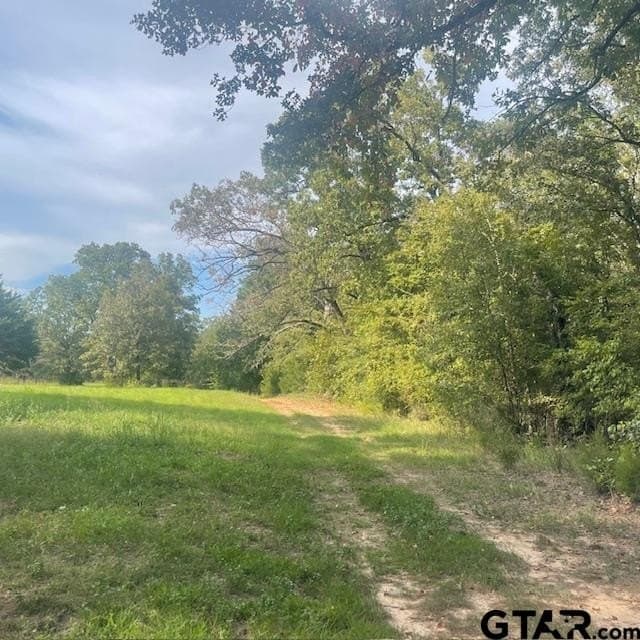 298.69 acres in Wood County - photo 14