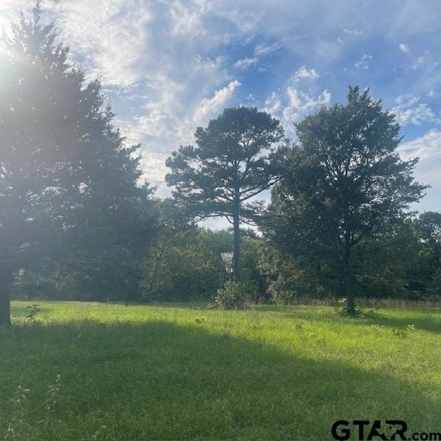 298.69 acres in Wood County - photo 15