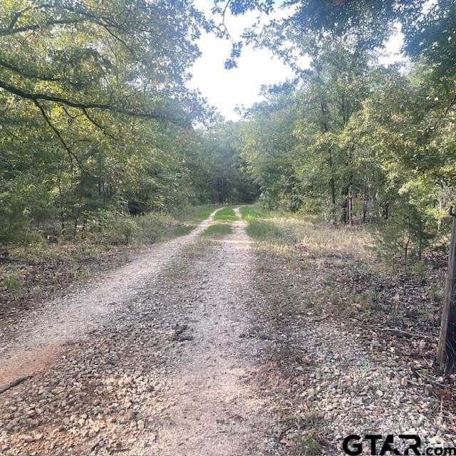 205 County Road 2880