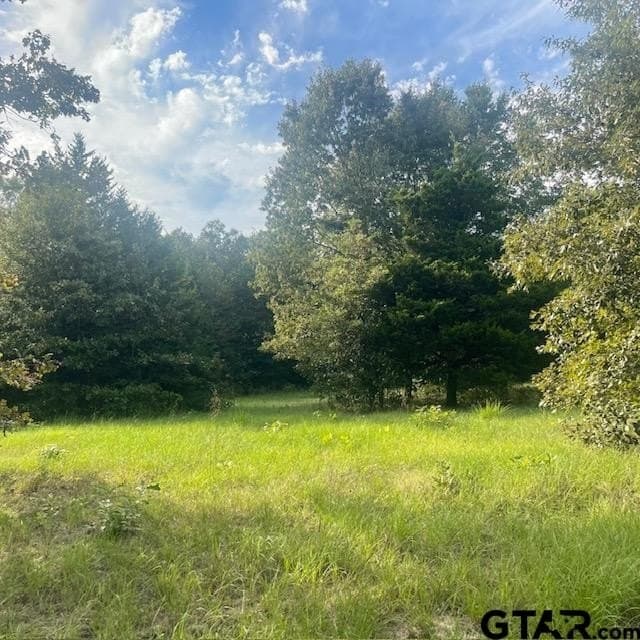 298.69 acres in Wood County - photo 27