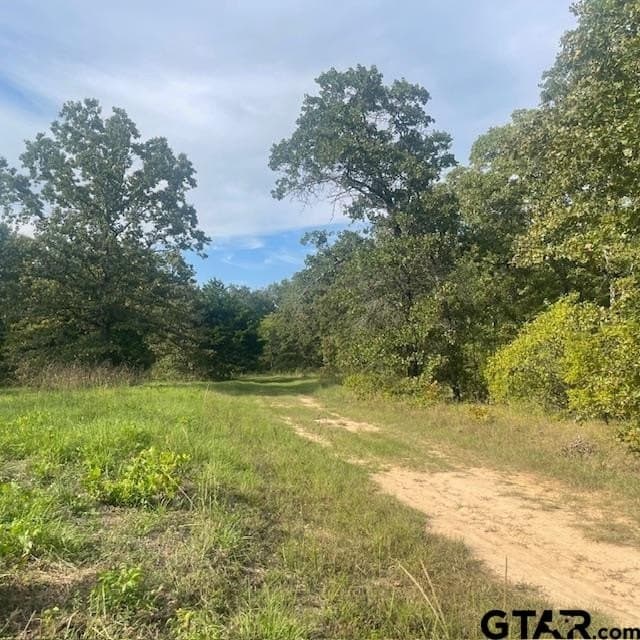 298.69 acres in Wood County - photo 25