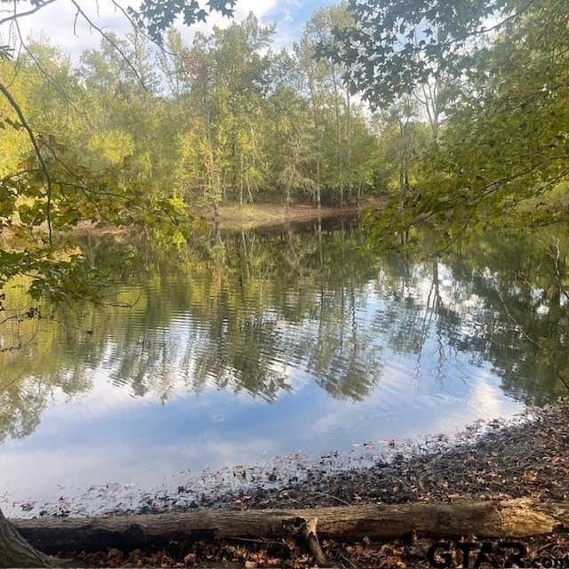 298.69 acres in Wood County - photo 6