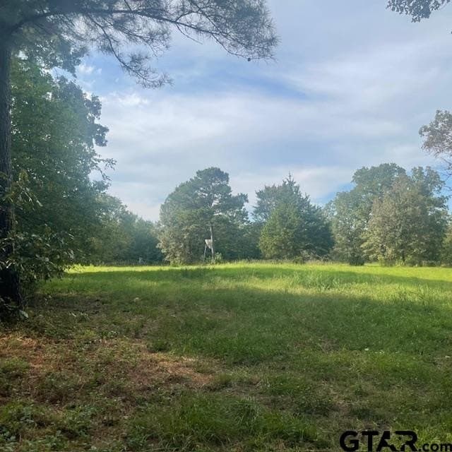 298.69 acres in Wood County - photo 13