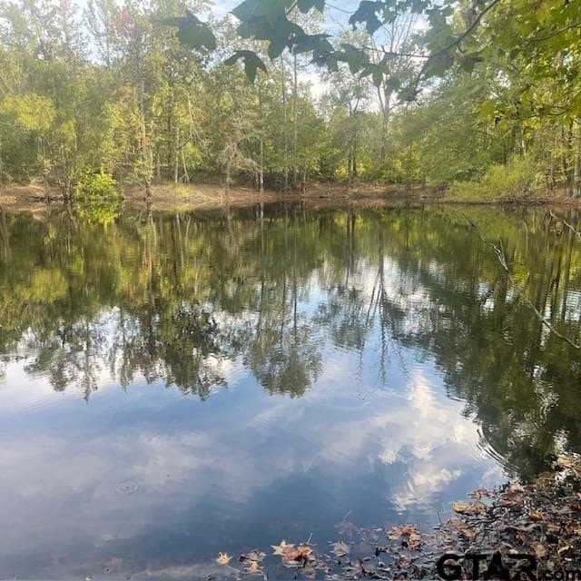 298.69 acres in Wood County - photo 9