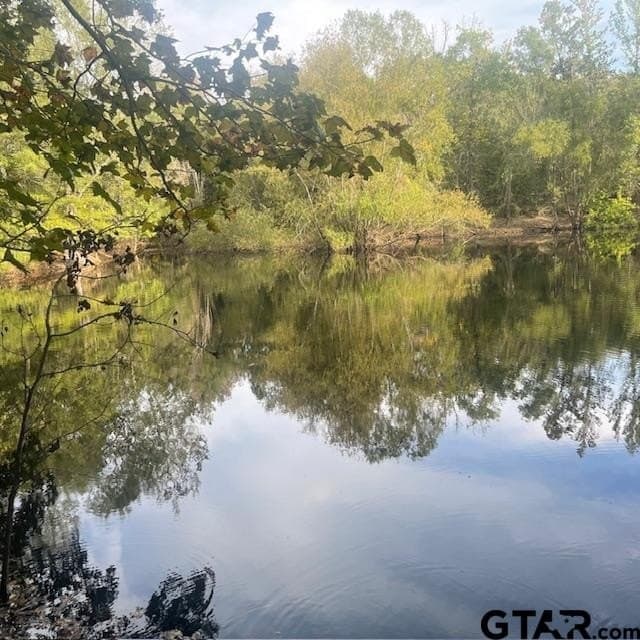 298.69 acres in Wood County - photo 7