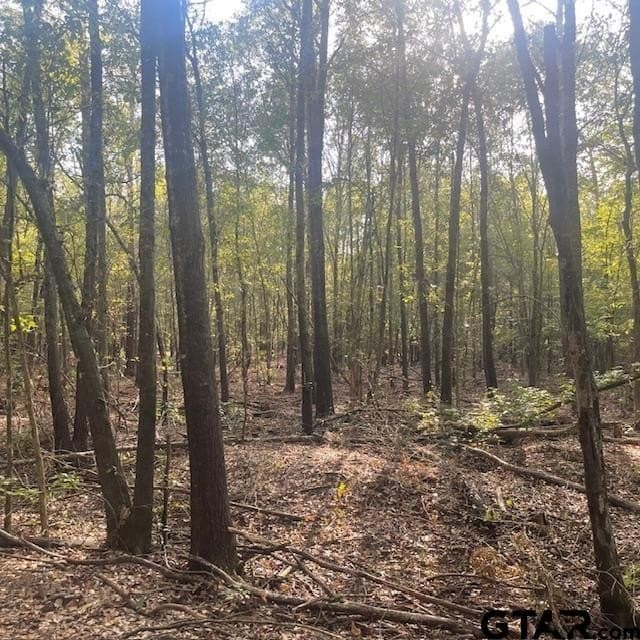 298.69 acres in Wood County - photo 19