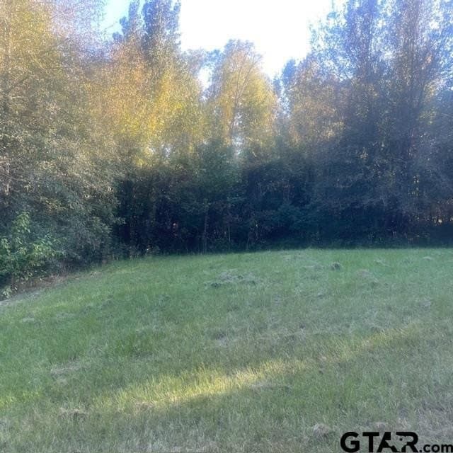 298.69 acres in Wood County - photo 43