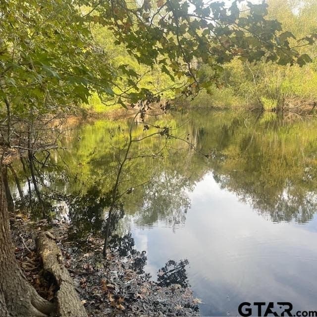298.69 acres in Wood County - photo 8