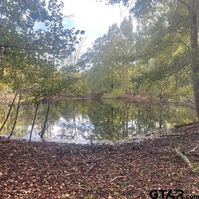 298.69 acres in Wood County - photo 10