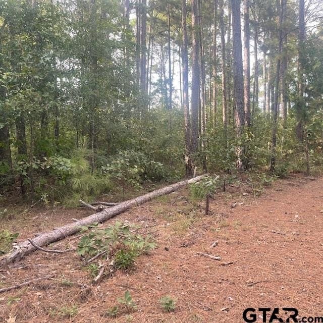 298.69 acres in Wood County - photo 24